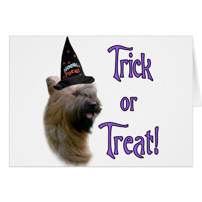 Briard Trick (Devant horizontal)