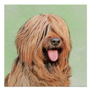Briardschildering - Kute Original Dog Art Perfect Poster