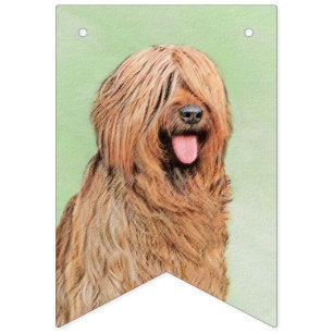 Briardschildering - Oorspronkelijke kledingkunst b Vlaggetjes