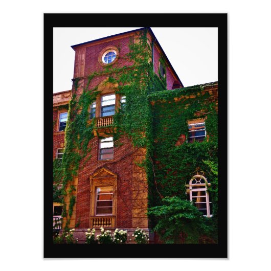 Brick Building Foto Afdruk (Voorkant)