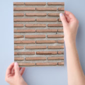 Brick-muur Flyer (Hand)