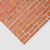 Brick-muur met hoge blootstelling tissuepapier (Detail)