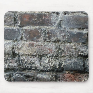 Brick-muur Muismat