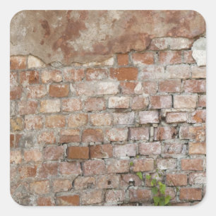 Brick-muur Vierkante Sticker