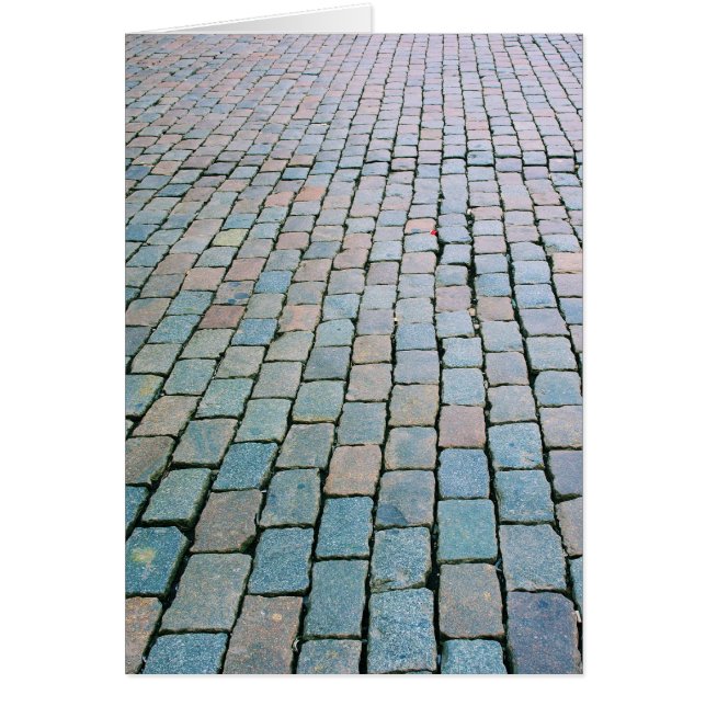 Brick Plaza à la Grand-Place - Bruxelles, Belgique (Devant)