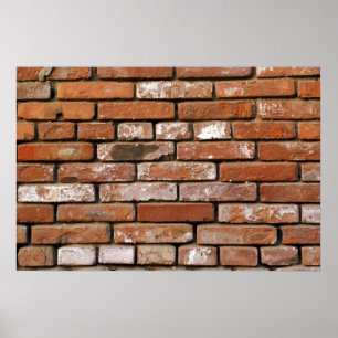 Brick Wall achtergrond Poster