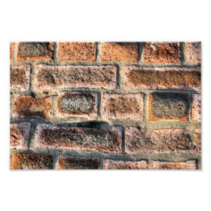 BRICK WALL FOTO AFDRUK