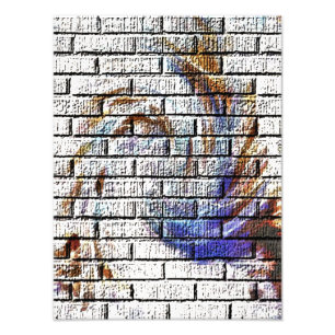 BRICK WALL GRAFFITI FOTO AFDRUK
