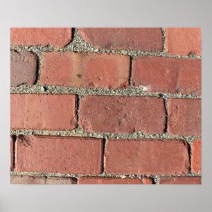 Bricks - Antiek straatbevers Poster