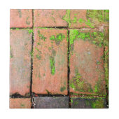 Bricks Walkway Tegeltje (Voorkant)