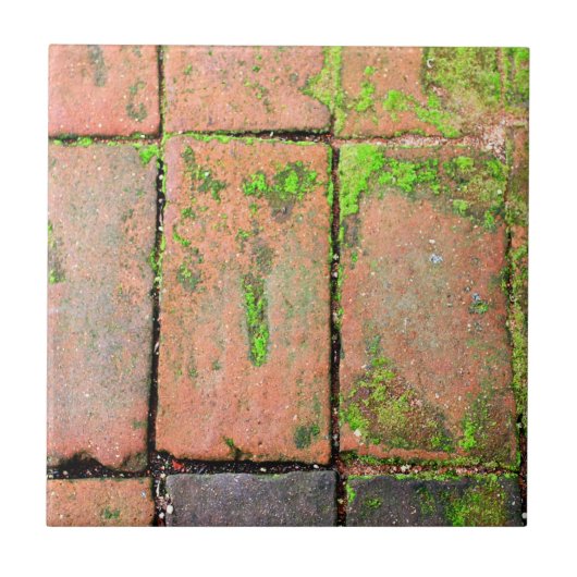 Bricks Walkway Tegeltje (Voorkant)