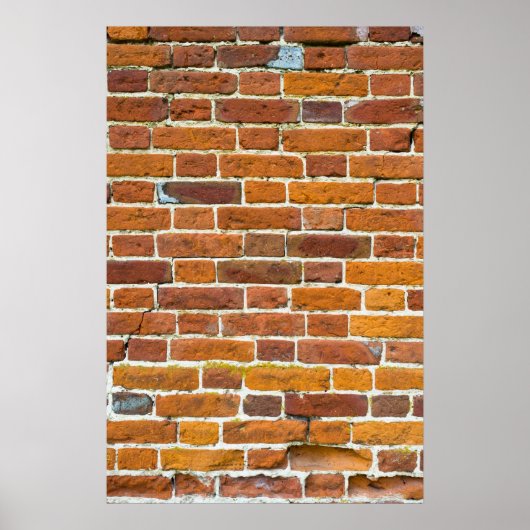 Brickwall Poster (Voorkant)