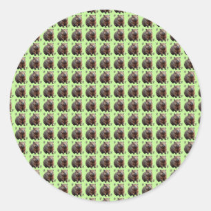 Brickwork Burrow: A Wombat's Green Canvas, Ronde Sticker