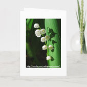 Bridal Luncheon Invitation Lily van de vallei (Achterkant)