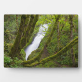 Bridal Veil Herfsten Fotoplaat (voorkant)