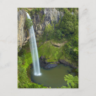 Bridal Veil Herfsten, Nieuw-Zeeland Briefkaart