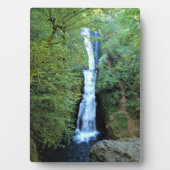 Bridal Veil Herfsten, OR Fotoplaat (voorkant)