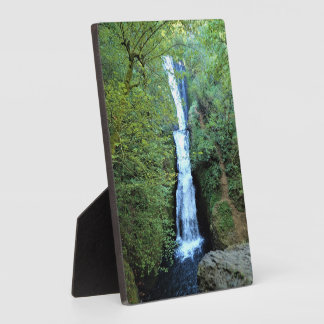 Bridal Veil Herfsten, OR Fotoplaat