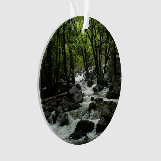 Bridalveil Creek à Yosemite National Park (devant)