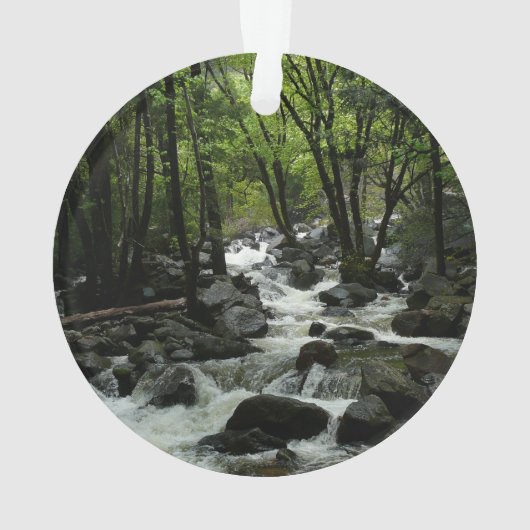 Bridalveil Creek à Yosemite National Park (dos)