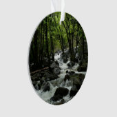 Bridalveil Creek in Yosemite National Park Ornament (voorkant)