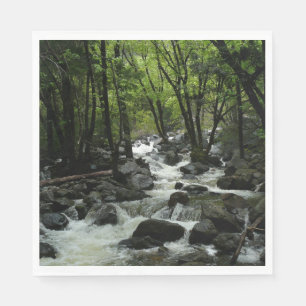 Bridalveil Creek in Yosemite National Park Servetten