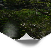 Bridalveil-Herfsten in het Nationaal Park Yosemite Perfect Poster (Hoek)