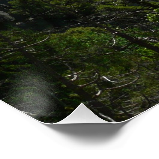 Bridalveil-Herfsten in het Nationaal Park Yosemite Perfect Poster (Hoek)