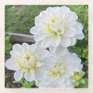 Bride to Be Dahlia Onderzetter, White Flower Glazen Onderzetter
