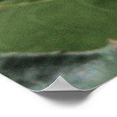 Bride's Dream Roos Bud Poster (Hoek)