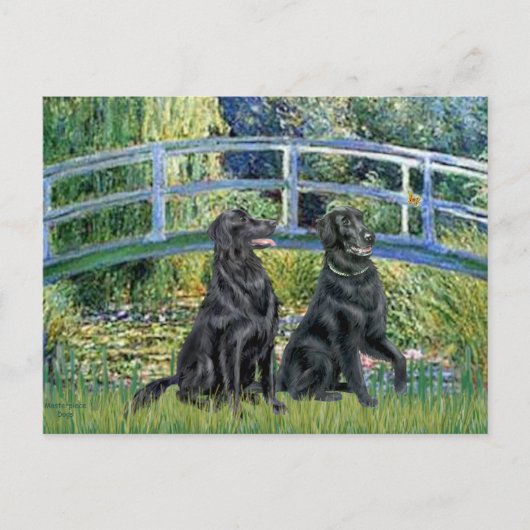 Bridge - Flat Coated Retriever (twee) Briefkaart (Voorkant)