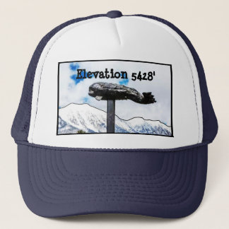 Bridger Bowl Whale Trucker Pet
