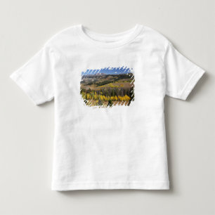 Bridger-Teton National Forest Kinder Shirts