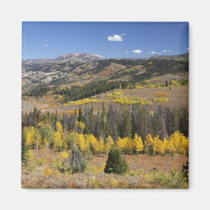 Bridger-Teton National Forest Magneet