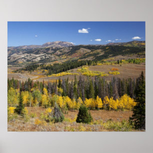 Bridger-Teton National Forest Poster