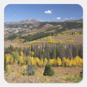 Bridger-Teton National Forest Vierkante Sticker