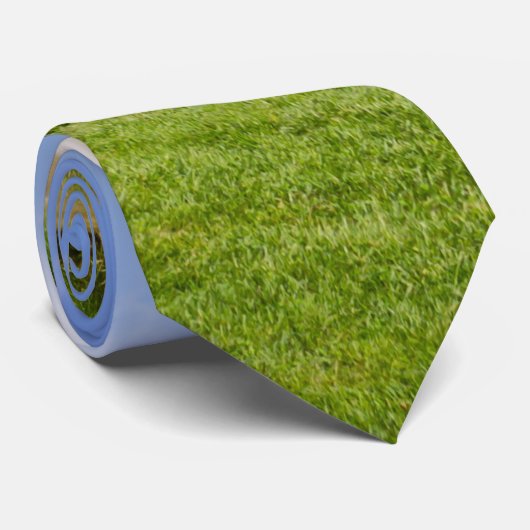 Bridgeton Bridge Et Mill Cravate (Roulé)