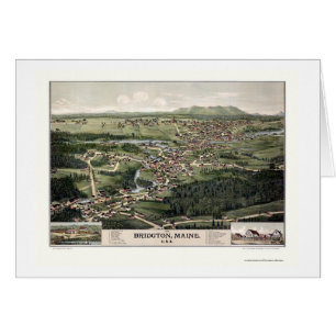 Bridgton, ME Panoramic Map - 1888