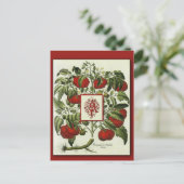 Brief A Monogram over  kunstkaarten voor tomaten Briefkaart (Staand voorkant)