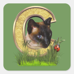 Brief Siamese-Capital-Monogram C Vierkante Sticker