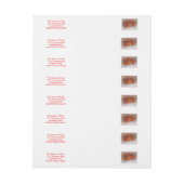 Brief van Kerstmis van de Kerstman Adreslabel Wikkel (Vel)