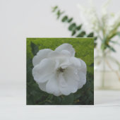 Briefkaart (Staand voorkant)