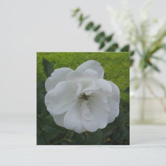 Briefkaart (Staand voorkant)