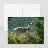 Briefkaart (Voorkant / Achterkant)