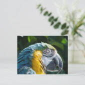 Briefkaart (Staand voorkant)