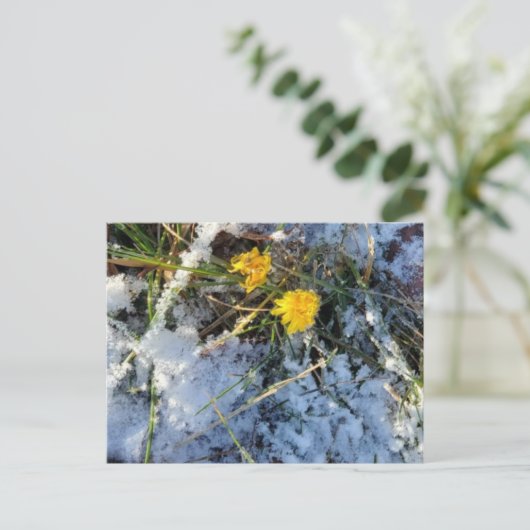 Briefkaart (Staand voorkant)