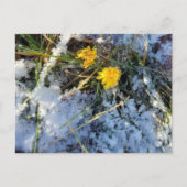 Briefkaart (Voorkant)