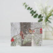 Briefkaart (Staand voorkant)