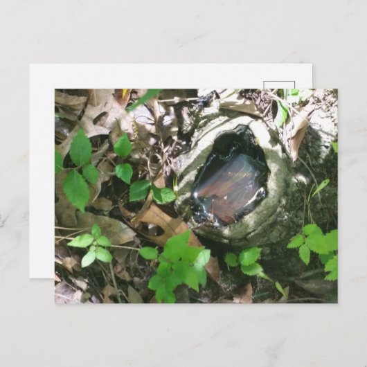 Briefkaart (Voorkant / Achterkant)