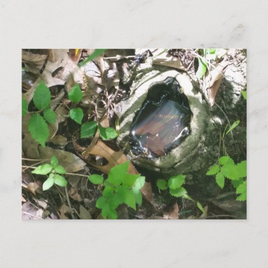 Briefkaart (Voorkant)